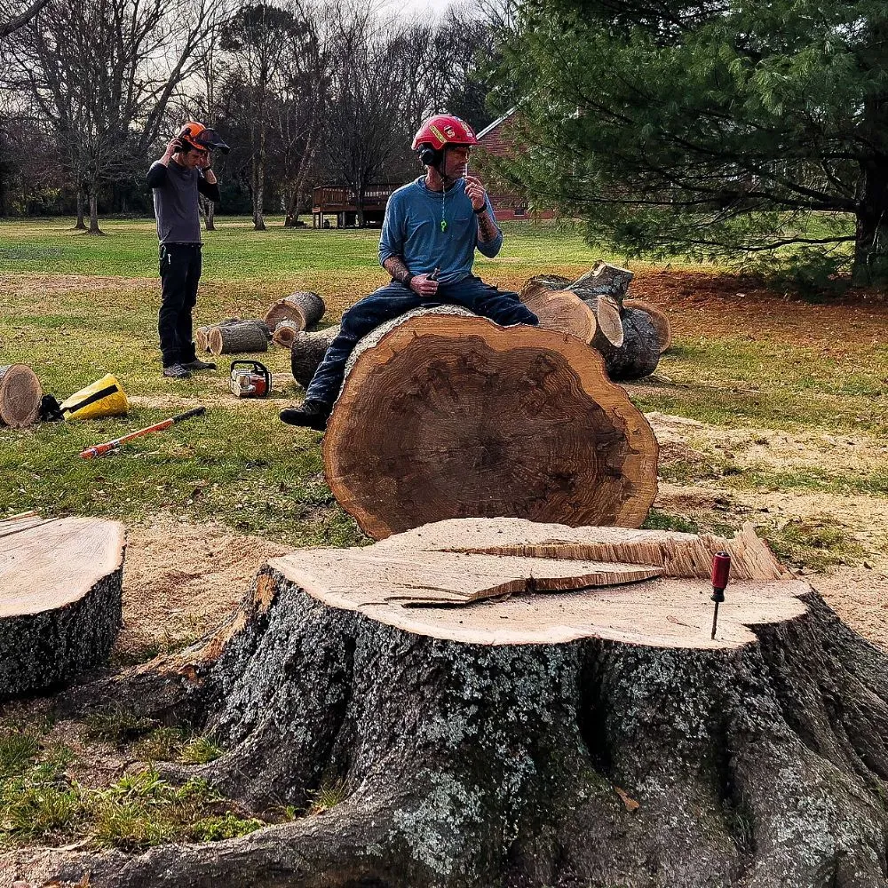 Trusted yard cleanup service for beautiful yards across Nashville, TN - Price Tree Care