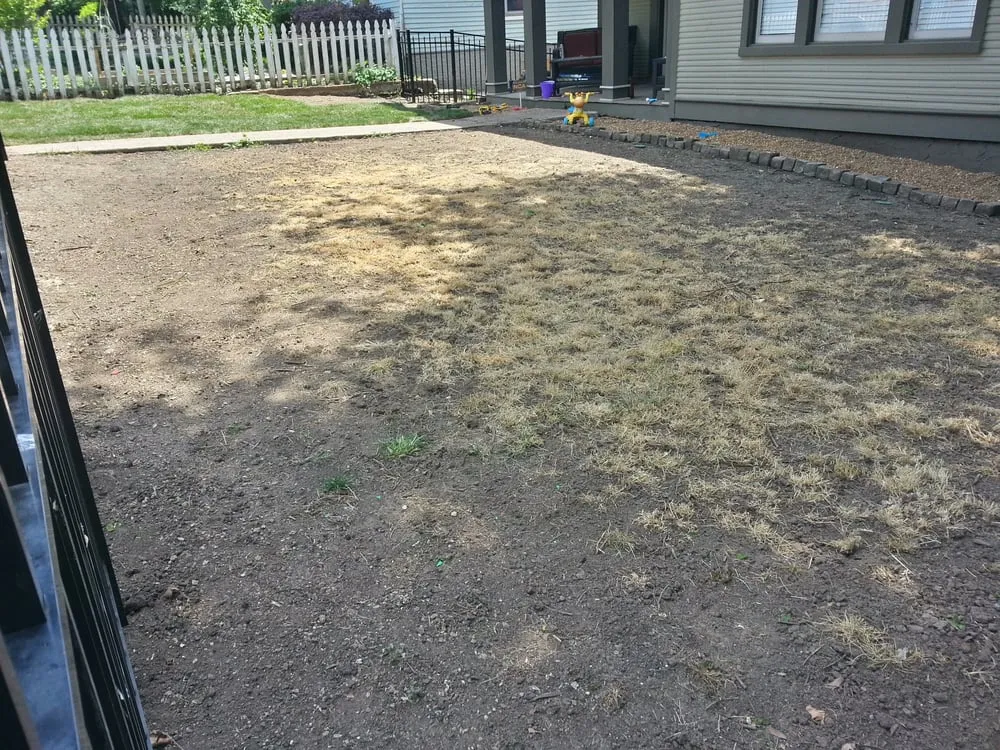 Custom landscape installation in Nashville, TN - Price Tree Care