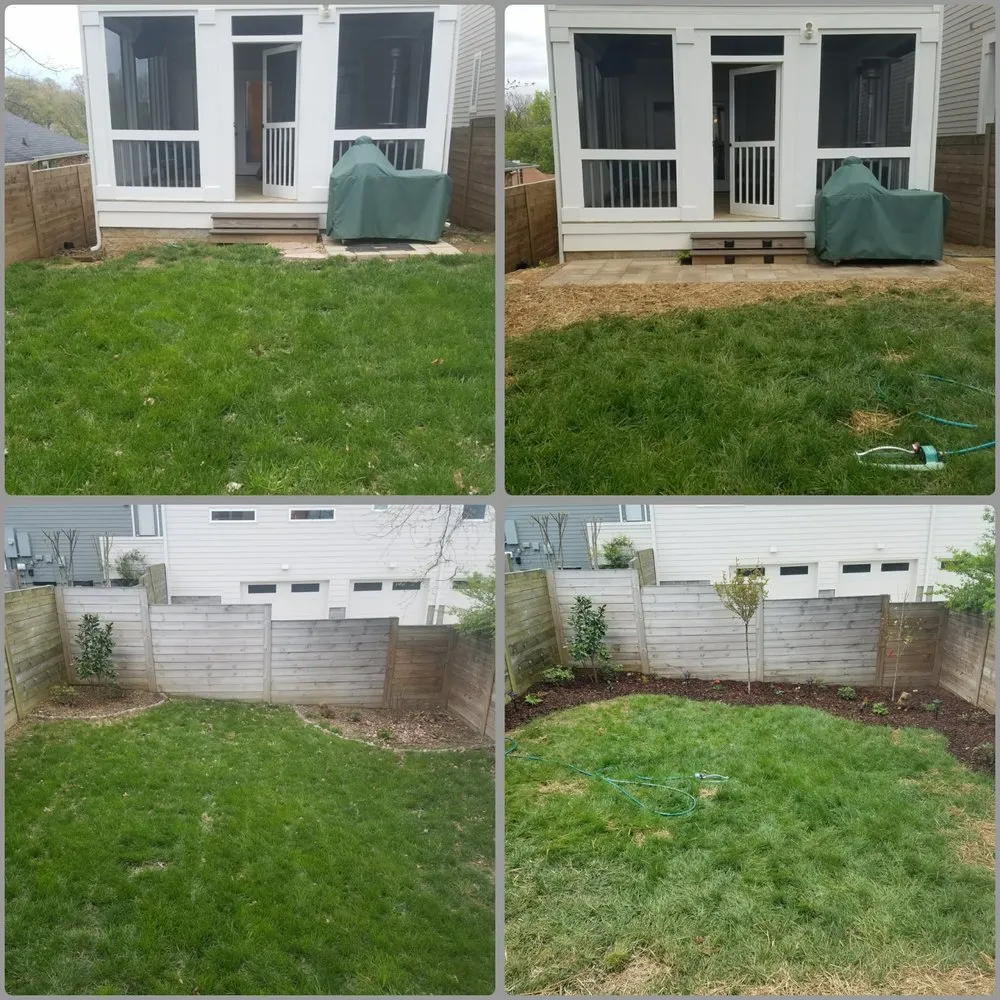 Affordable yard maintenance in Nashville, TN by Price Tree Care