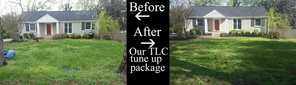 Trusted lawn care service in Nashville, TN by Price Tree Care
