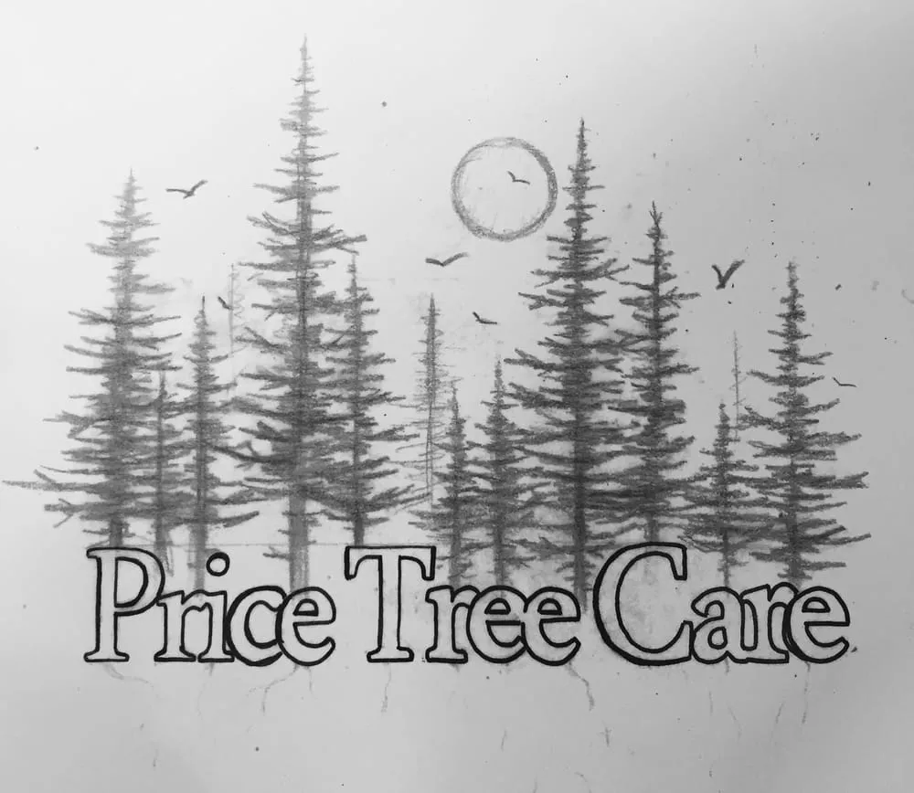 Reliable yard cleanup service in Nashville, TN - Price Tree Care