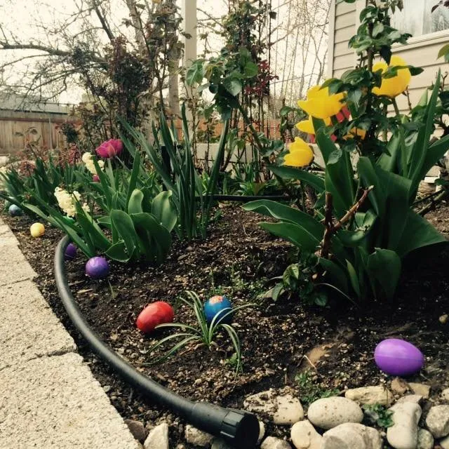 Custom yard maintenance in Kaysville, UT by Priced Right Lawn Care