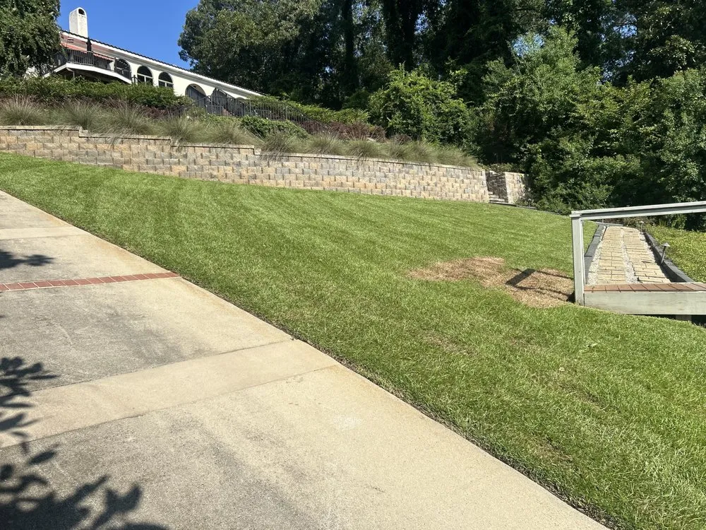 Professional outdoor landscaping for beautiful yards in Columbia, SC by Priceless A1 Cuts