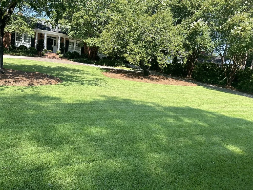 Top-rated landscape installation near you in Columbia, SC by Priceless A1 Cuts