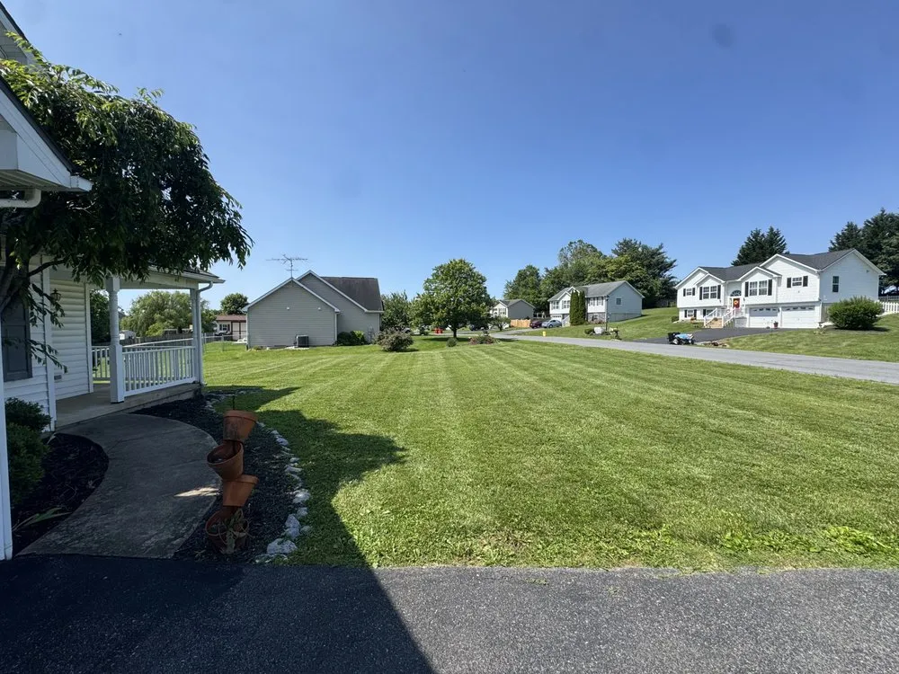 Expert yard cleanup service in Martinsburg, WV - Priceless Lawns