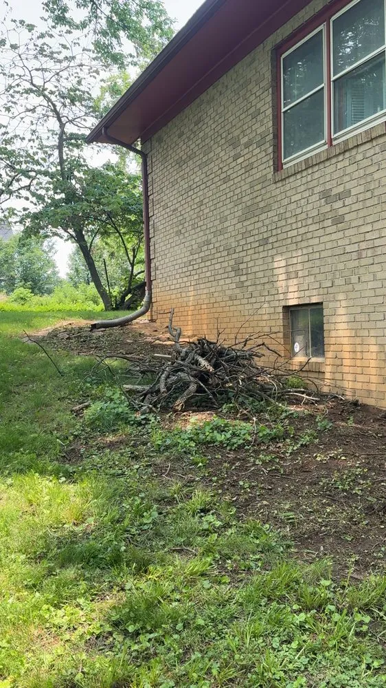 Professional lawn care service in Martinsburg, WV by Priceless Lawns