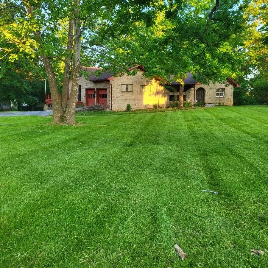 Local yard cleanup service in Martinsburg, WV - Priceless Lawns