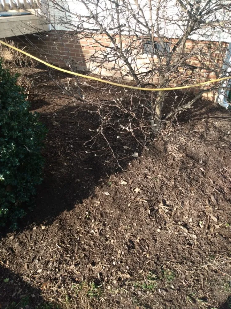 Expert landscape installation in Chase City, VA by Price's Lawncare Service