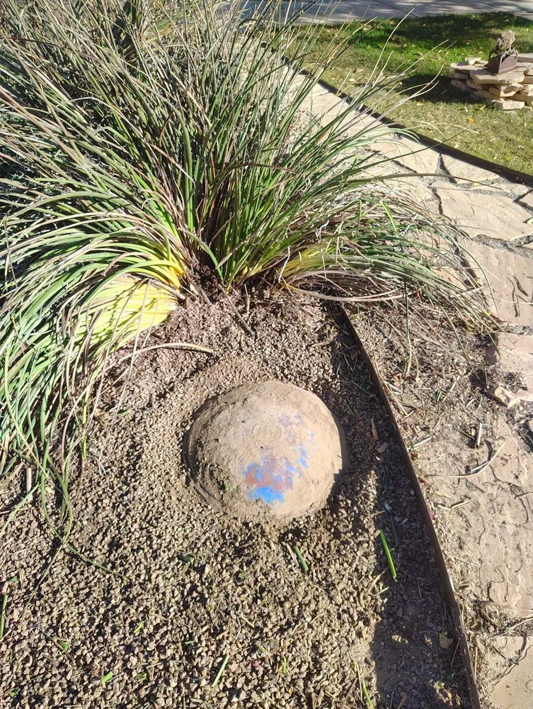 Affordable lawn care service for outdoor upgrades across Farmington, NM - Priddy Landscaping and Irrigation