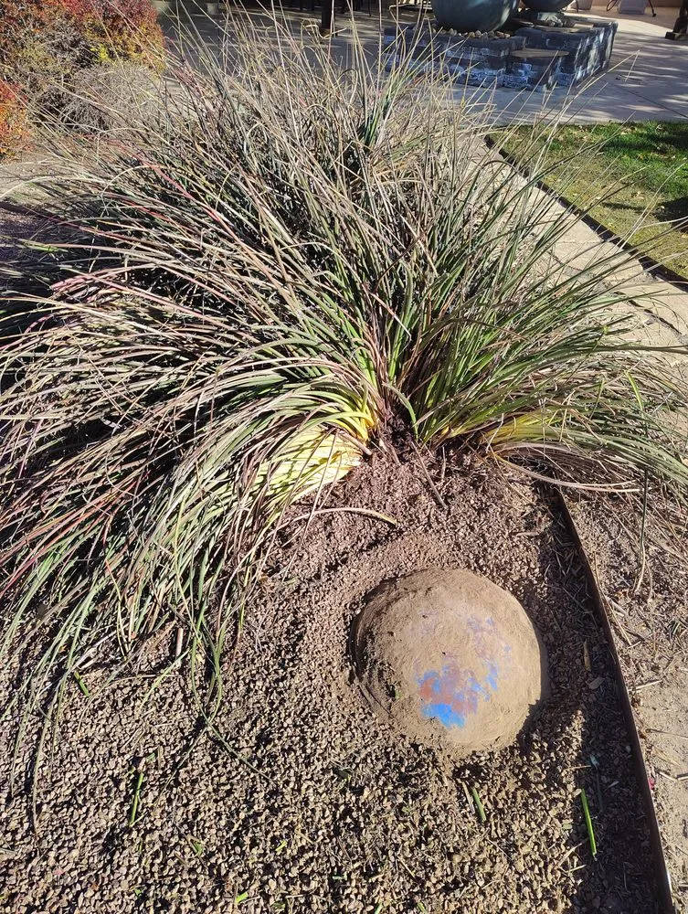 Trusted garden landscaping near you across Farmington, NM - Priddy Landscaping and Irrigation
