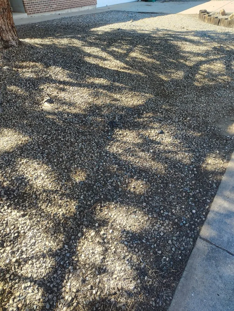 Trusted yard cleanup service in Farmington, NM by Priddy Landscaping and Irrigation