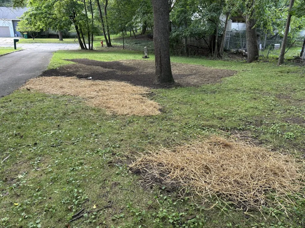 Local residential landscaping in Highland Hills, OH by Pride And Perfection Services