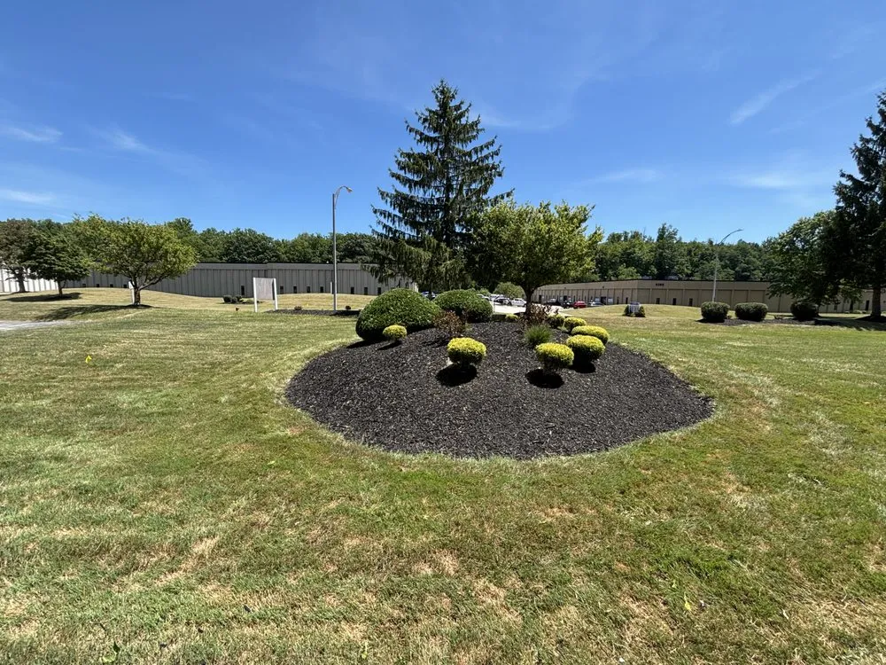 Reliable yard cleanup service near you across Highland Hills, OH - Pride And Perfection Services