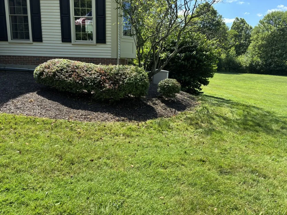 Local landscape design in Highland Hills, OH by Pride And Perfection Services