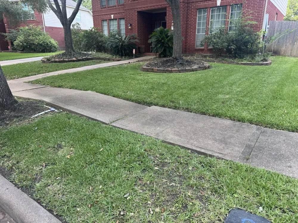 Top-rated yard cleanup service experts serving Missouri City, TX - Pride Cuts and Handyman
