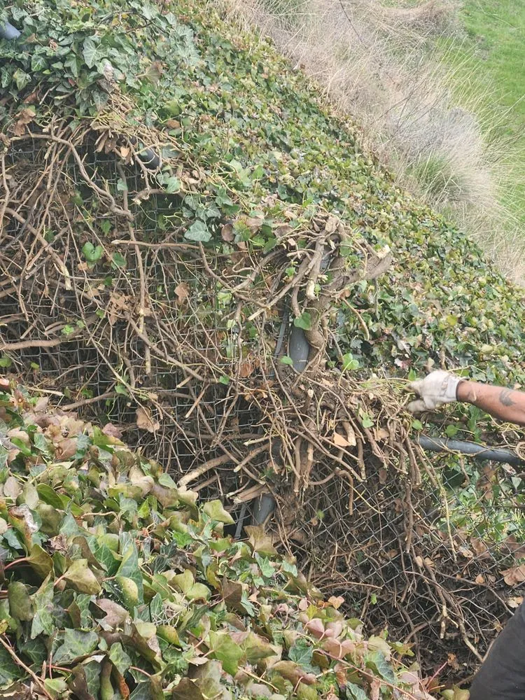 Local landscape installation for outdoor upgrades across Lewiston, ID - Pride Landscape