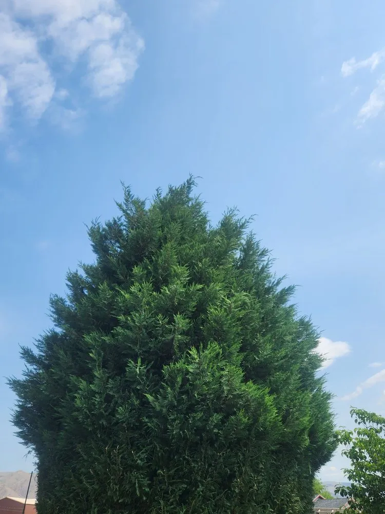 Expert yard maintenance for homes across Lewiston, ID - Pride Landscape