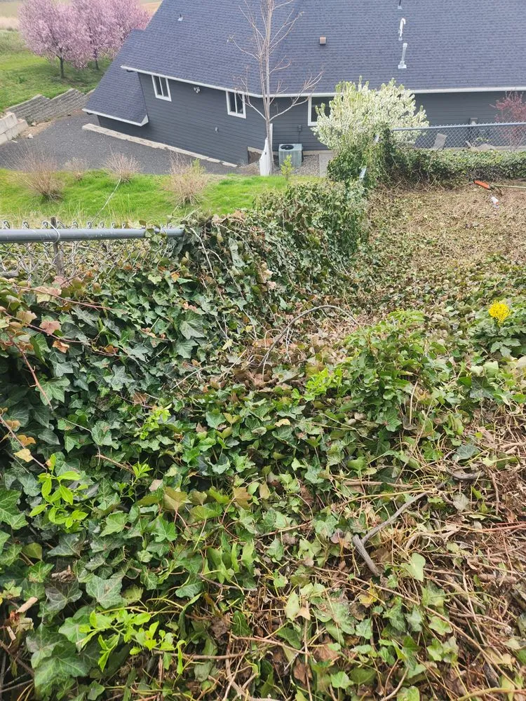 Reliable landscape installation in Lewiston, ID - Pride Landscape