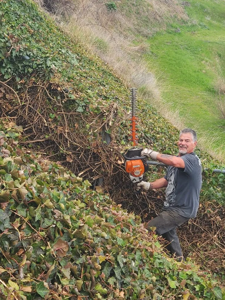 Affordable landscape design experts serving Lewiston, ID - Pride Landscape