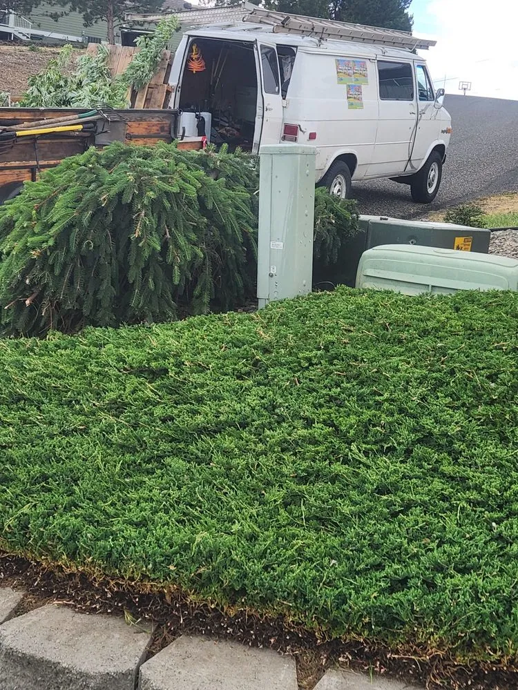 Professional yard cleanup service for outdoor upgrades across Lewiston, ID - Pride Landscape