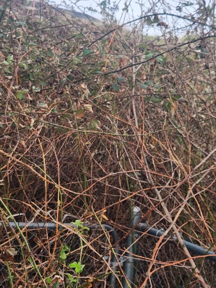 Reliable garden landscaping in Lewiston, ID by Pride Landscape