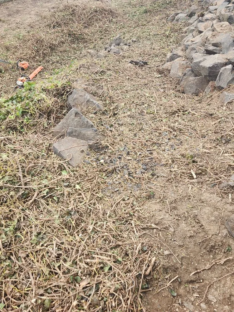 Top-rated landscape installation for outdoor upgrades in Lewiston, ID by Pride Landscape