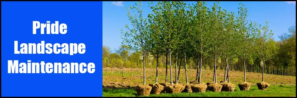 Reliable outdoor landscaping in Southport, NC by Pride Landscape Maintenance