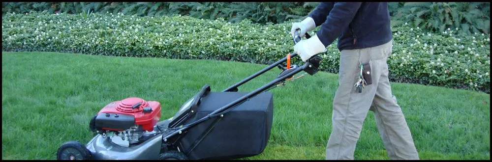 Trusted landscaping services in Southport, NC - Pride Landscape Maintenance