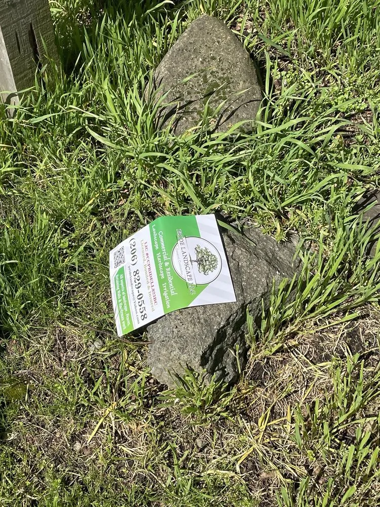 Custom yard cleanup service in Renton, WA by Pride Landscape