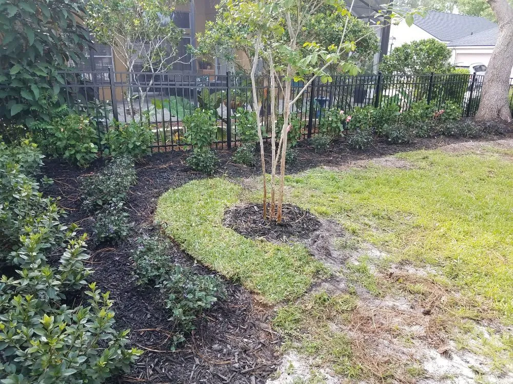Expert landscape installation in Aloma, FL - Pride Landscaping