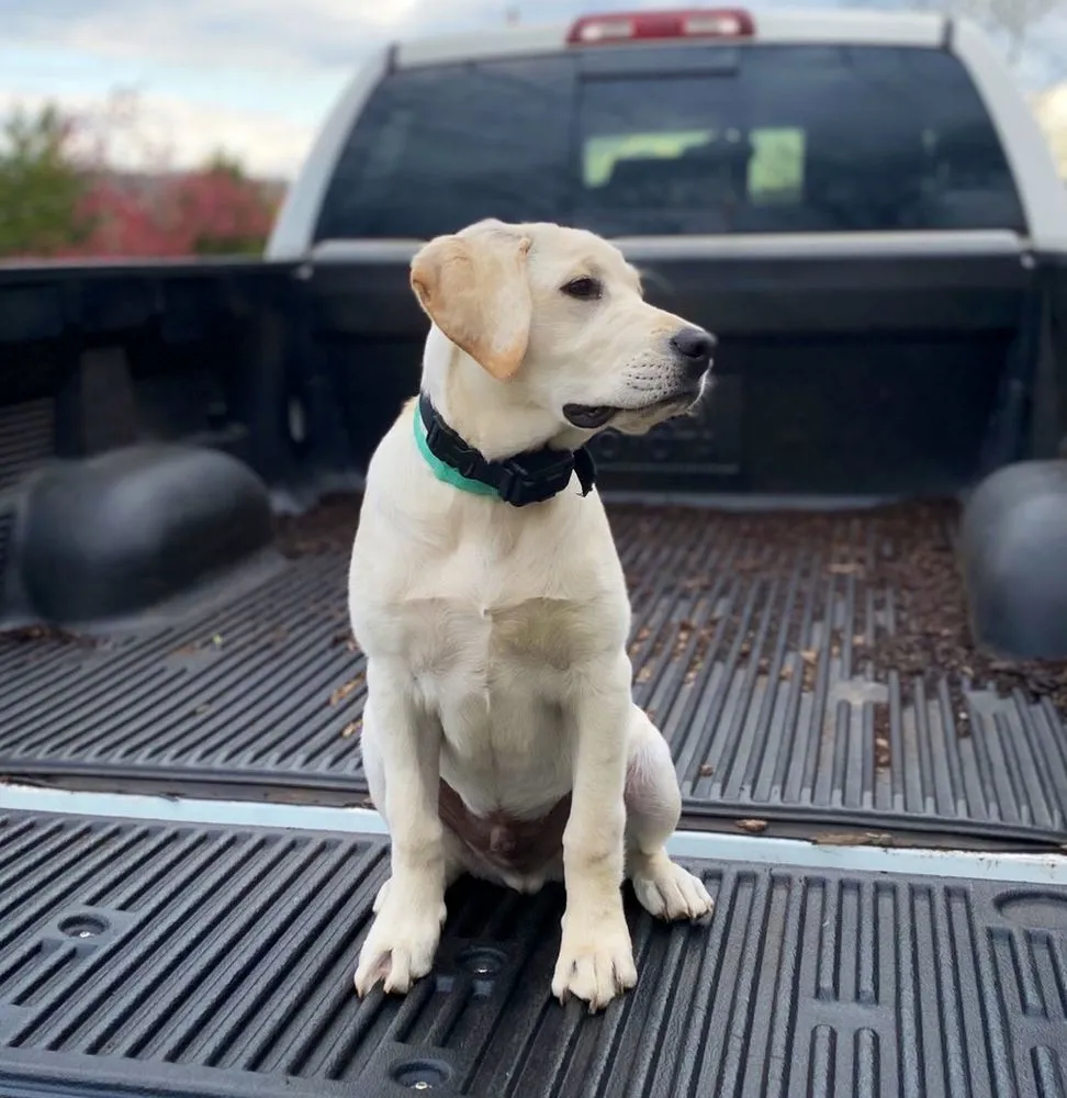 Custom landscape design near you across Pittsburgh, PA - Pride Landscaping