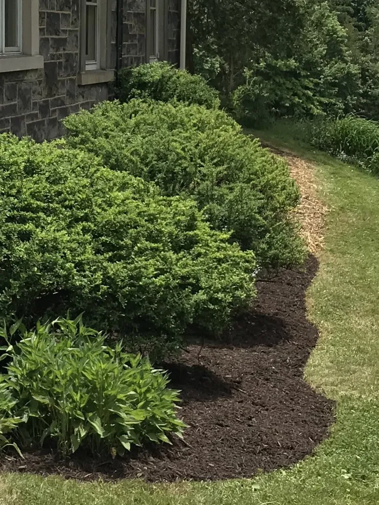 Professional outdoor landscaping for outdoor upgrades in Pittsburgh, PA by Pride Landscaping