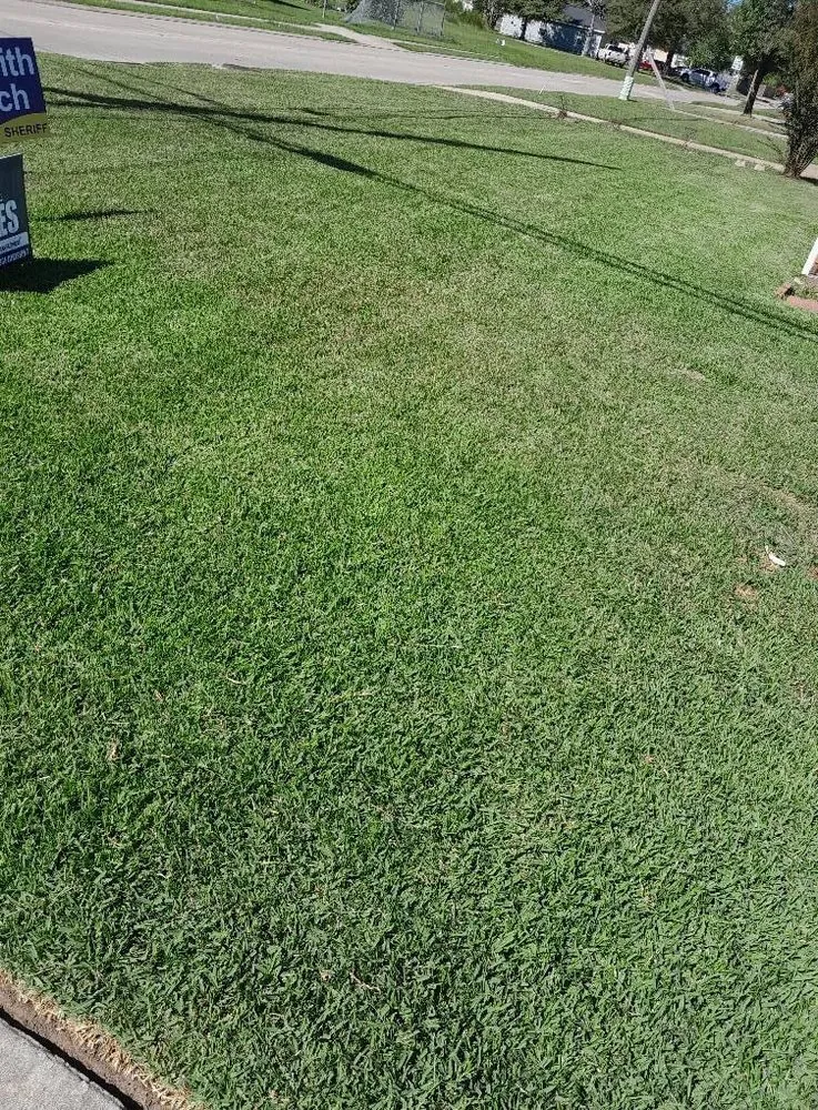 Expert outdoor landscaping for beautiful yards across Lake Charles, LA - Pride Lawn Services