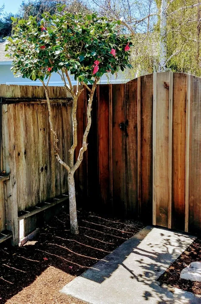 Expert yard maintenance in Santa Cruz, CA by PRIDE of OWNERSHIP Garden Grooming