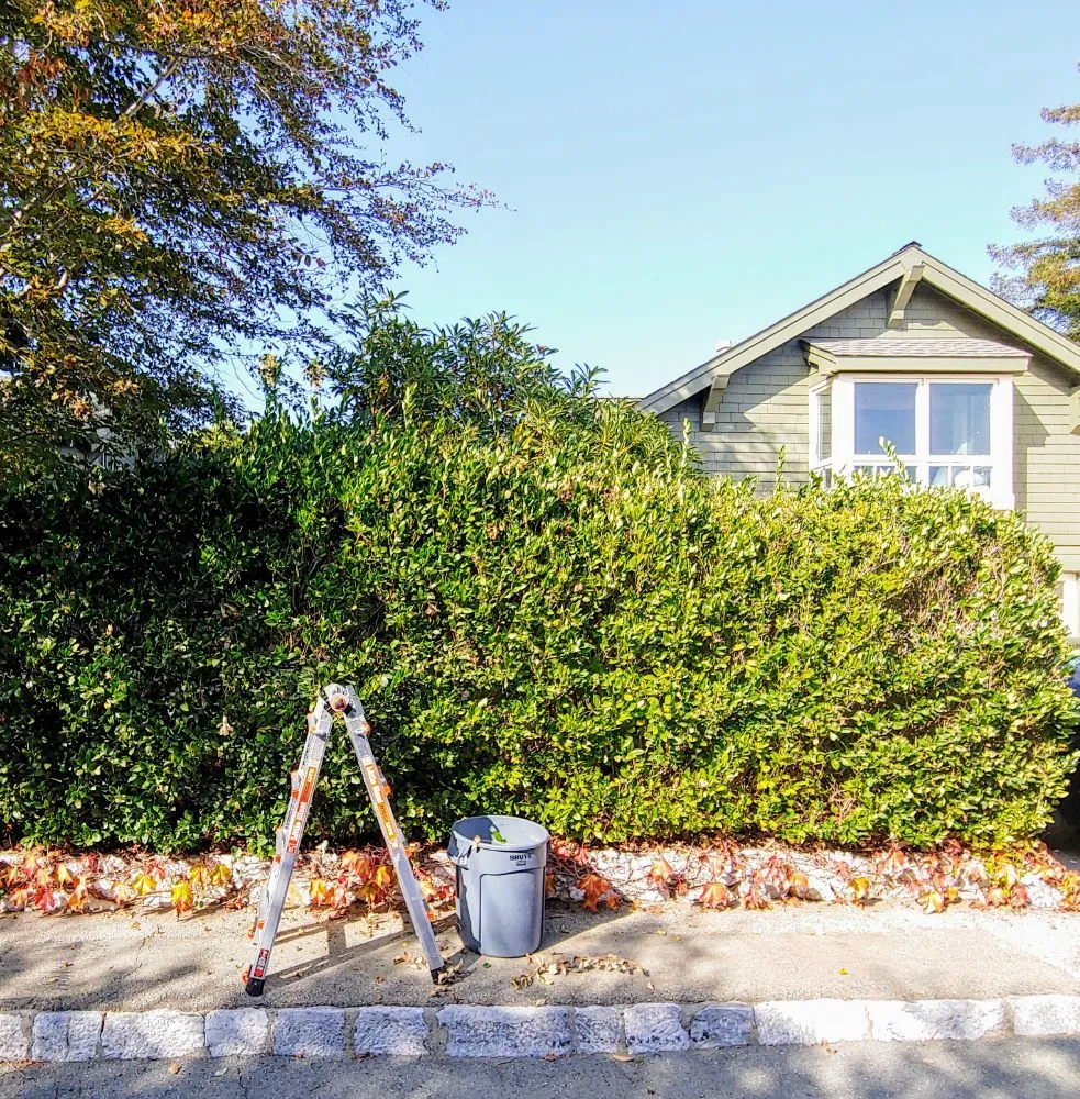 Custom landscape design in Santa Cruz, CA by PRIDE of OWNERSHIP Garden Grooming