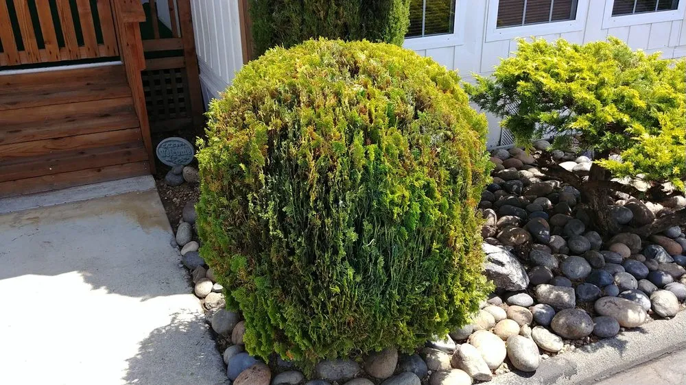 Reliable landscaping services in Santa Cruz, CA - PRIDE of OWNERSHIP Garden Grooming