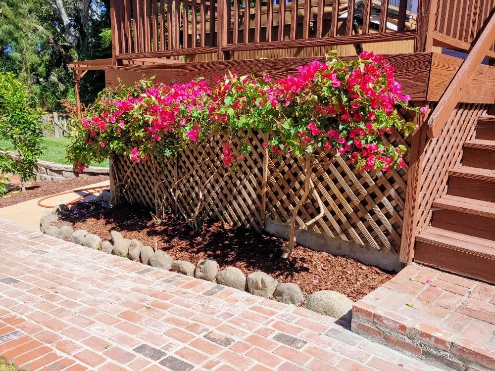 Reliable landscape design for outdoor upgrades in Santa Cruz, CA by PRIDE of OWNERSHIP Garden Grooming