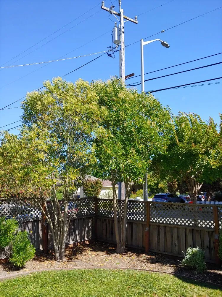 Local landscaping services for residential properties across Santa Cruz, CA - PRIDE of OWNERSHIP Garden Grooming