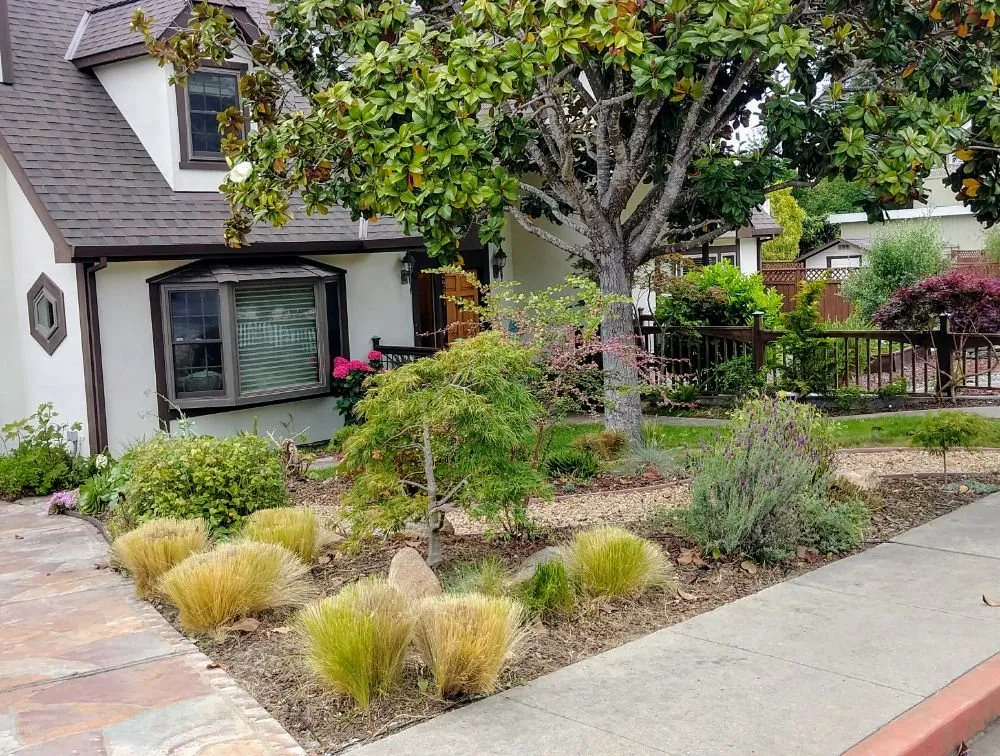 Affordable landscaping services near you across Santa Cruz, CA - PRIDE of OWNERSHIP Garden Grooming