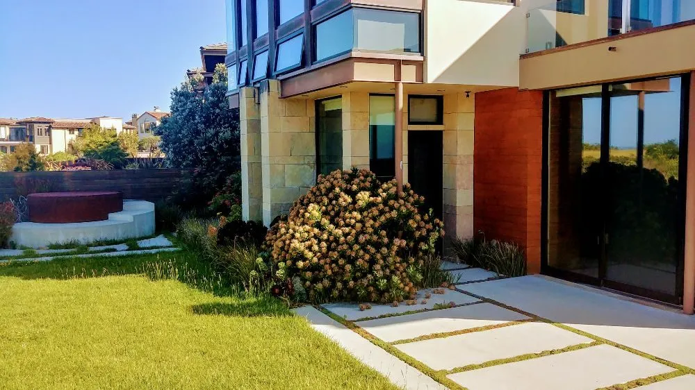 Top-rated yard cleanup service in Santa Cruz, CA - PRIDE of OWNERSHIP Garden Grooming