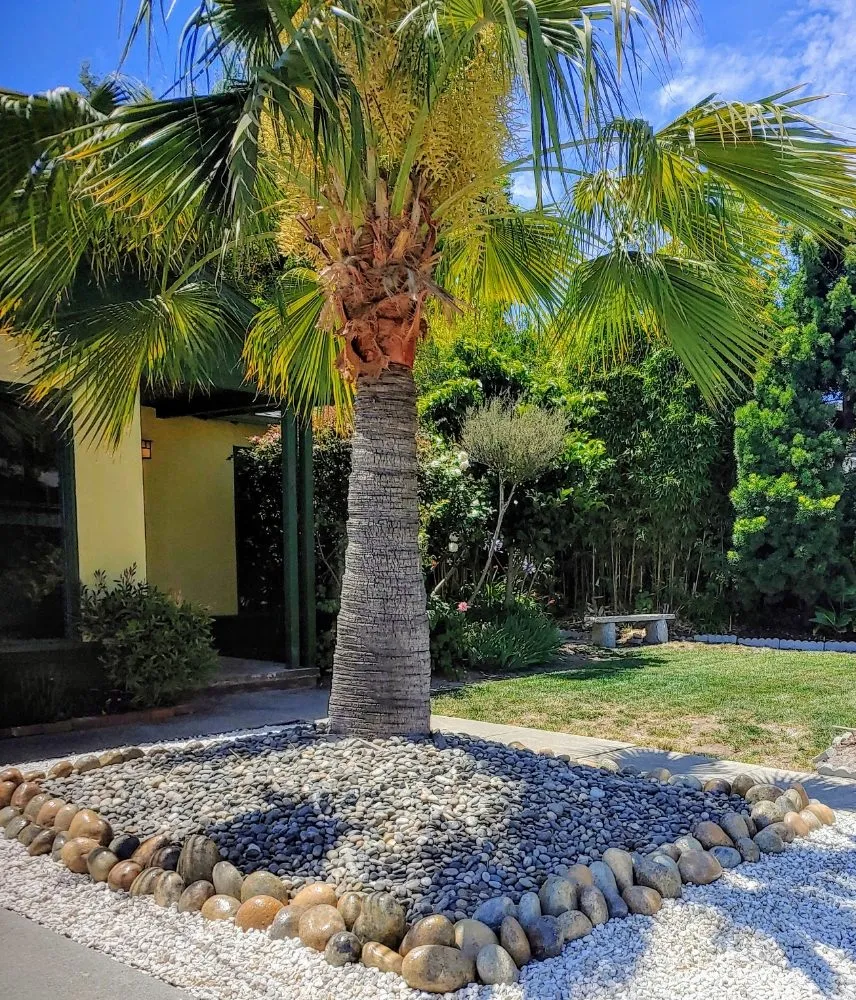 Top-rated yard maintenance experts serving Santa Cruz, CA - PRIDE of OWNERSHIP Garden Grooming