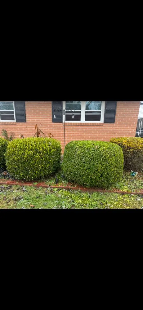 Custom yard maintenance with custom design across Jackson, TN - Pride of Tennessee Property Services