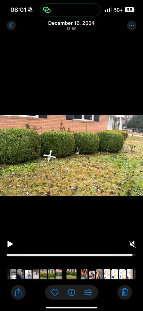 Top-rated residential landscaping in Jackson, TN - Pride of Tennessee Property Services