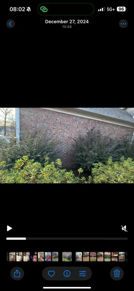 Expert yard cleanup service for year-round maintenance in Jackson, TN by Pride of Tennessee Property Services