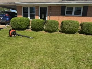 Expert landscaping services in Jackson, TN - Pride of Tennessee Property Services