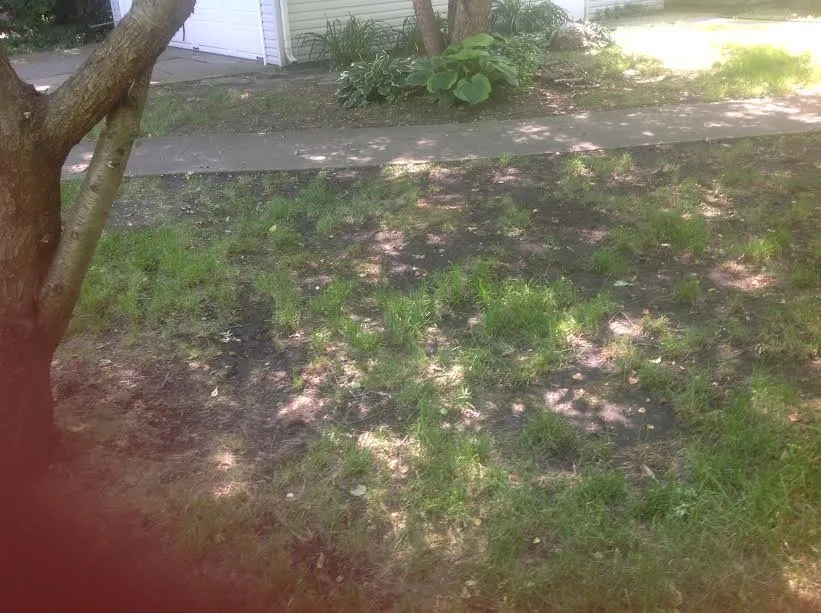 Reliable landscaping services experts serving Champaign, IL - Pride Outdoor Services