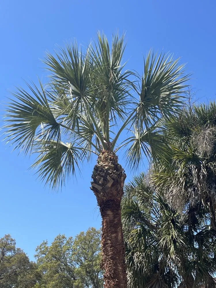 Custom yard cleanup service near you across Ocala, FL - Pride Tree Service