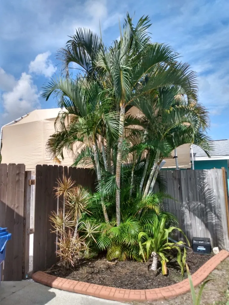 Reliable garden landscaping with custom design across Venice, FL - Pride Window & Construction Cleaning