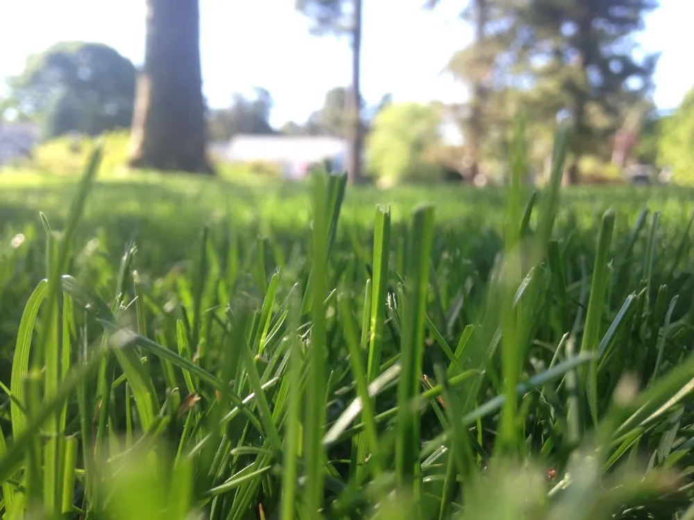 Trusted yard maintenance for residential properties across Yarmouth Port, MA - Pride