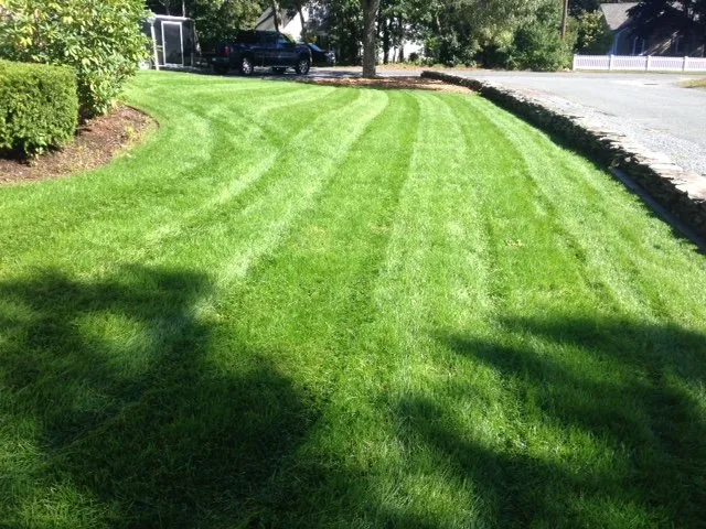 Custom yard maintenance for outdoor upgrades across Yarmouth Port, MA - Pride